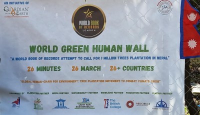 World Green Human Wall
