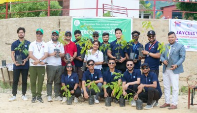 Tree Plantation Programme on Environment Day